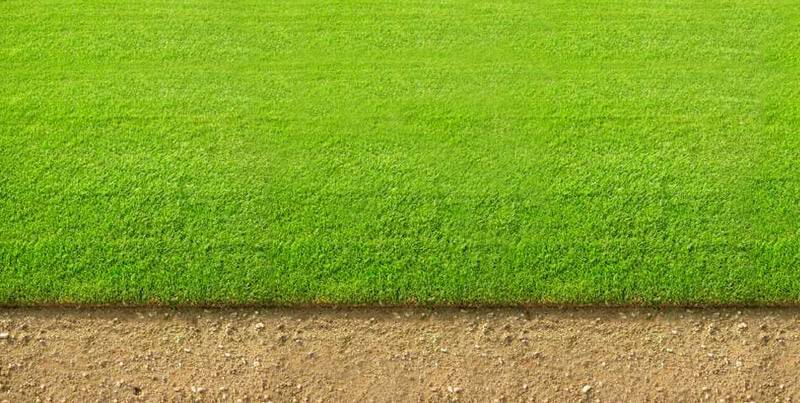 Transporter du gazon en France tous les jours en Provence