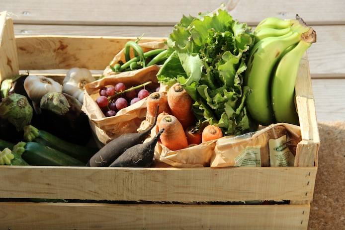 Transporter tous vos transports routiers de fruits et légumes en Europe avec Flexatrans